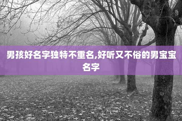 男孩好名字独特不重名,好听又不俗的男宝宝名字
