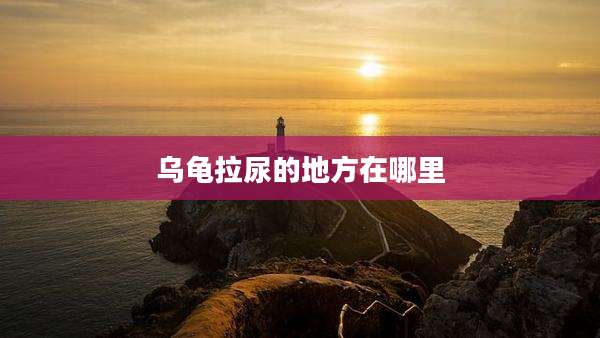 乌龟拉尿的地方在哪里