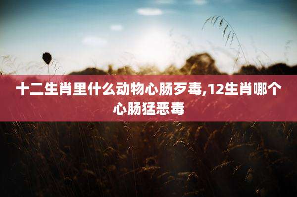 十二生肖里什么动物心肠歹毒,12生肖哪个心肠猛恶毒