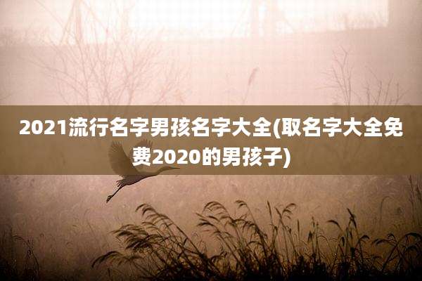 2021流行名字男孩名字大全(取名字大全免费2020的男孩子)