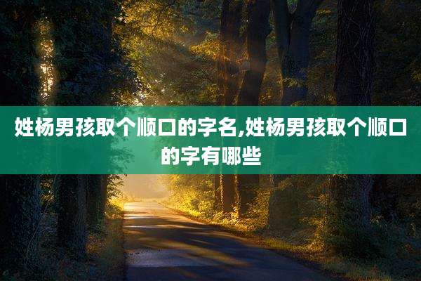 姓杨男孩取个顺口的字名,姓杨男孩取个顺口的字有哪些