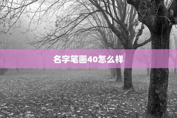 名字笔画40怎么样