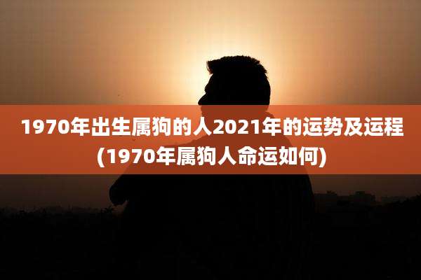 1970年出生属狗的人2021年的运势及运程(1970年属狗人命运如何)
