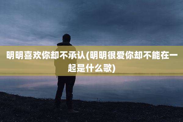 明明喜欢你却不承认(明明很爱你却不能在一起是什么歌)