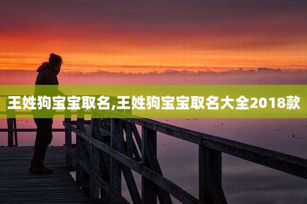 王姓狗宝宝取名,王姓狗宝宝取名大全2018款