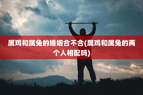 属鸡和属兔的婚姻合不合(属鸡和属兔的两个人相配吗)