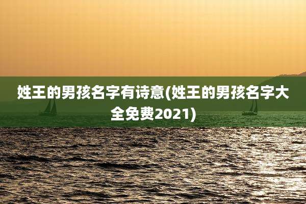 姓王的男孩名字有诗意(姓王的男孩名字大全免费2021)