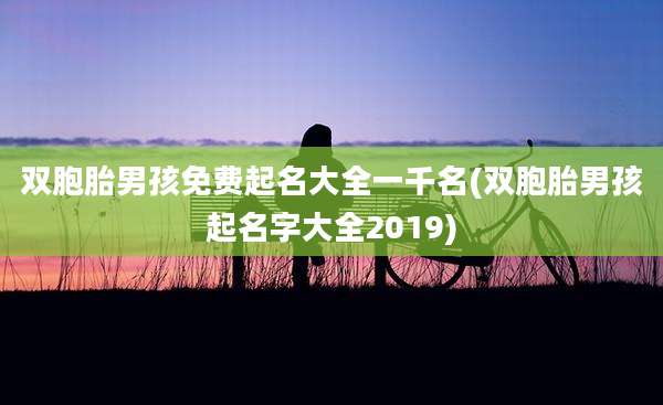 双胞胎男孩免费起名大全一千名(双胞胎男孩起名字大全2019)