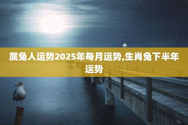 属兔人运势2025年每月运势,生肖兔下半年运势