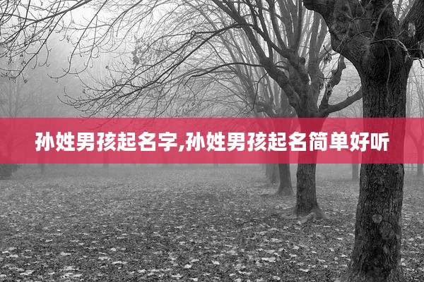 孙姓男孩起名字,孙姓男孩起名简单好听