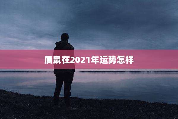 属鼠在2021年运势怎样