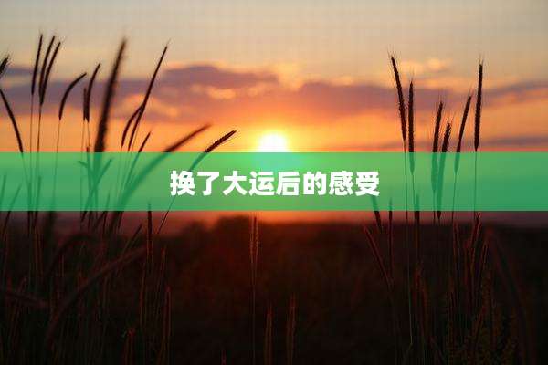 换了大运后的感受