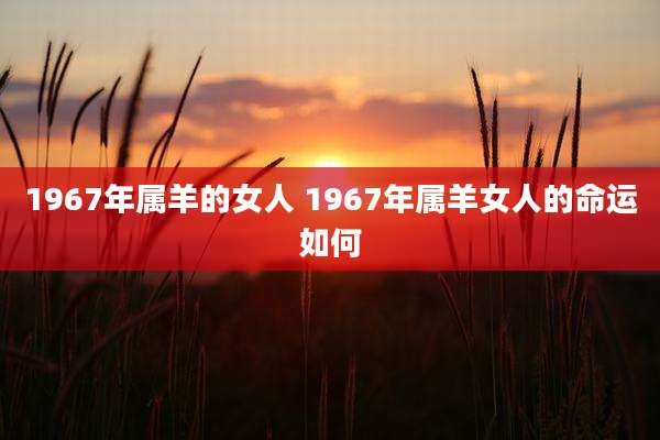 1967年属羊的女人 1967年属羊女人的命运如何