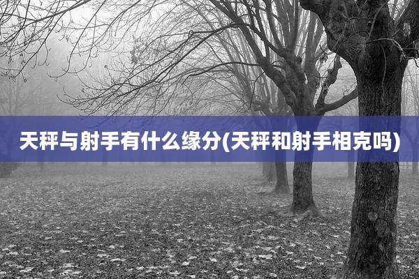 天秤与射手有什么缘分(天秤和射手相克吗)