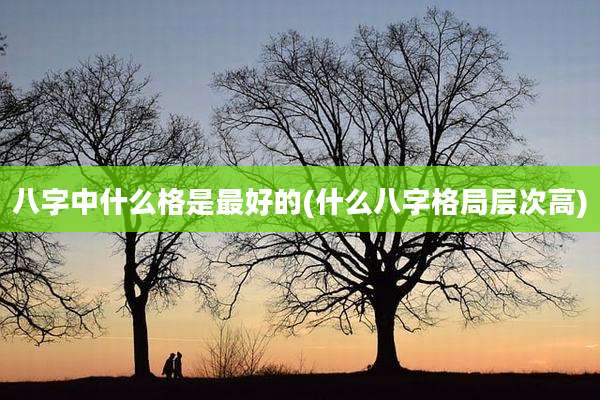 八字中什么格是最好的(什么八字格局层次高)