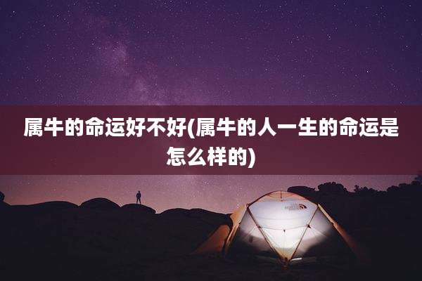 属牛的命运好不好(属牛的人一生的命运是怎么样的)