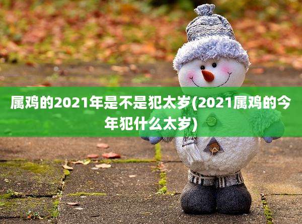属鸡的2021年是不是犯太岁(2021属鸡的今年犯什么太岁)
