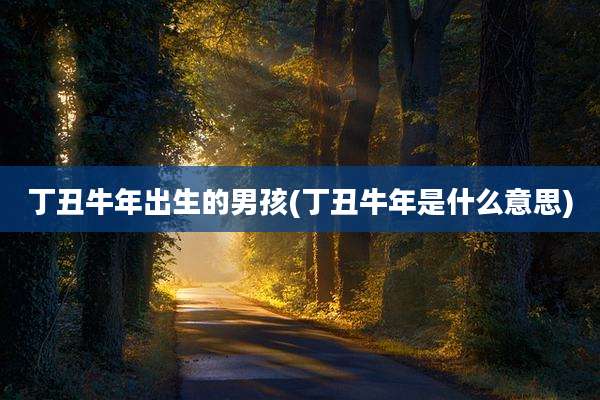 丁丑牛年出生的男孩(丁丑牛年是什么意思)