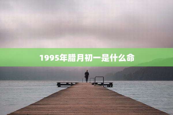 1995年腊月初一是什么命