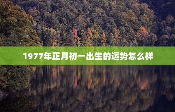 1977年正月初一出生的运势怎么样