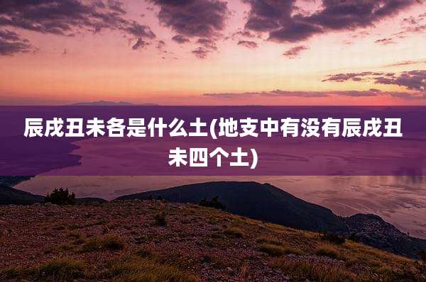 辰戌丑未各是什么土(地支中有没有辰戌丑未四个土)