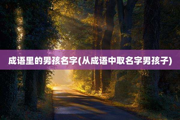 成语里的男孩名字(从成语中取名字男孩子)