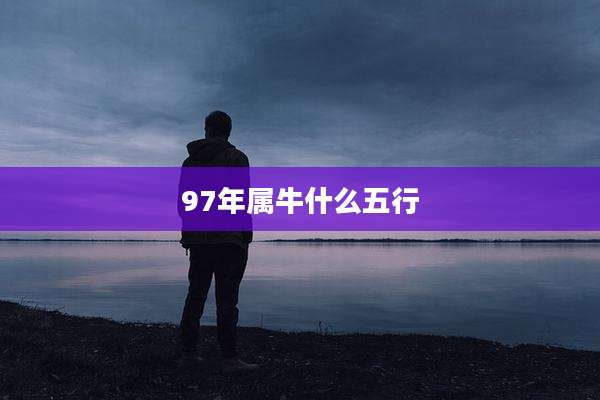 97年属牛什么五行
