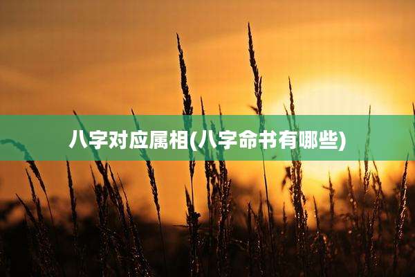 八字对应属相(八字命书有哪些)