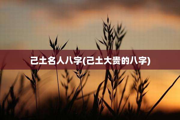 己土名人八字(己土大贵的八字)