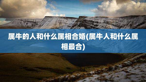 属牛的人和什么属相合婚(属牛人和什么属相最合)