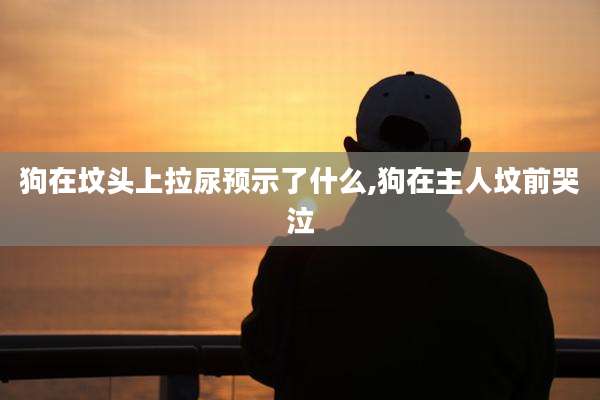 狗在坟头上拉尿预示了什么,狗在主人坟前哭泣