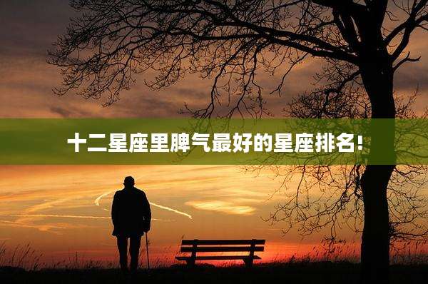 十二星座里脾气最好的星座排名!