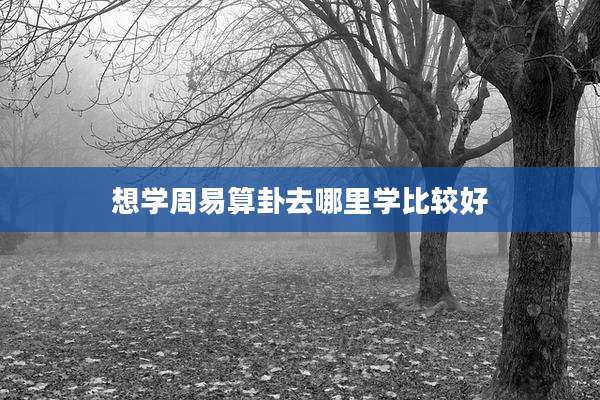想学周易算卦去哪里学比较好