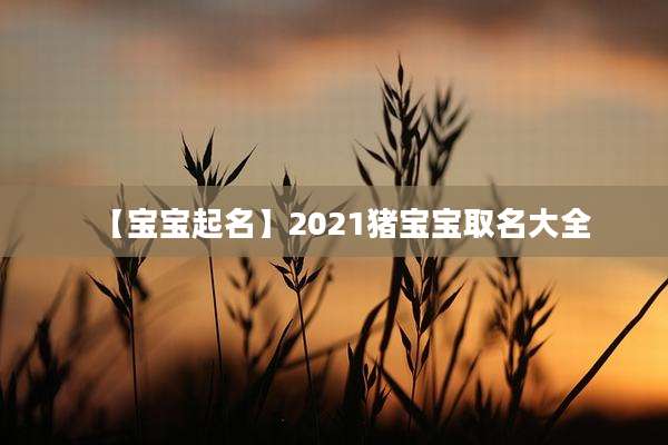 【宝宝起名】2021猪宝宝取名大全