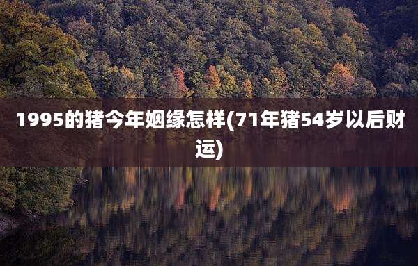 1995的猪今年姻缘怎样(71年猪54岁以后财运)
