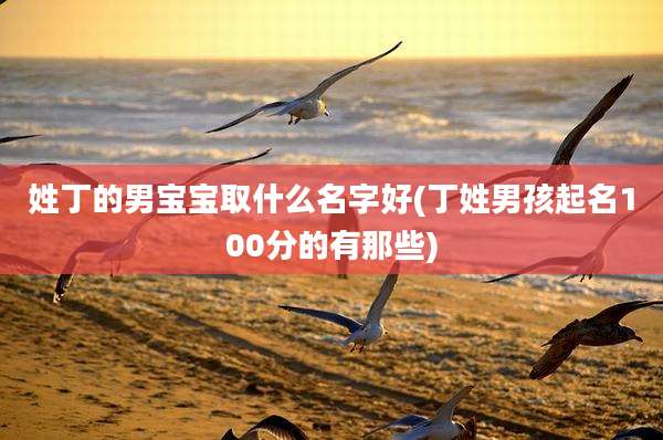 姓丁的男宝宝取什么名字好(丁姓男孩起名100分的有那些)