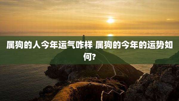 属狗的人今年运气咋样 属狗的今年的运势如何?