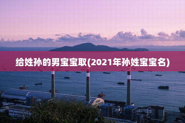 给姓孙的男宝宝取(2021年孙姓宝宝名)