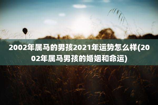 2002年属马的男孩2021年运势怎么样(2002年属马男孩的婚姻和命运)