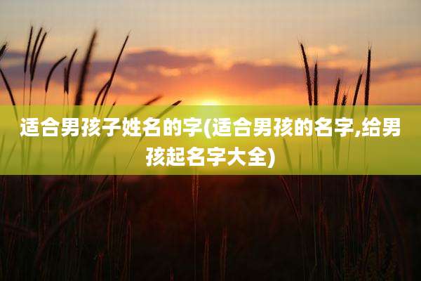 适合男孩子姓名的字(适合男孩的名字,给男孩起名字大全)