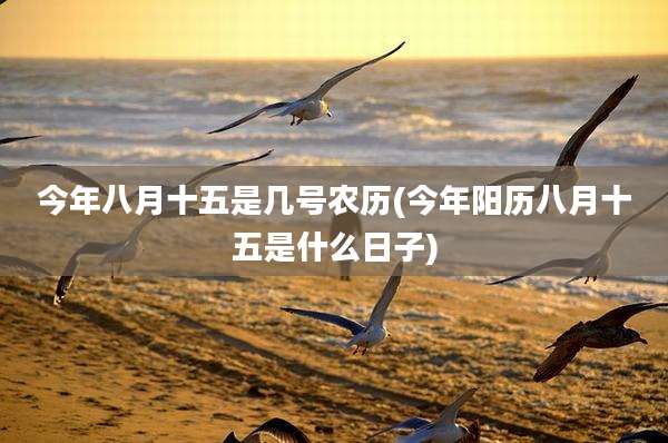 今年八月十五是几号农历(今年阳历八月十五是什么日子)