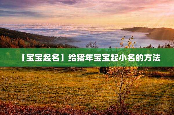 【宝宝起名】给猪年宝宝起小名的方法