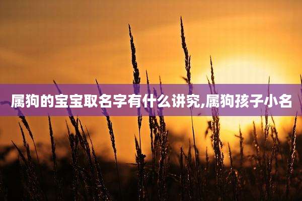 属狗的宝宝取名字有什么讲究,属狗孩子小名