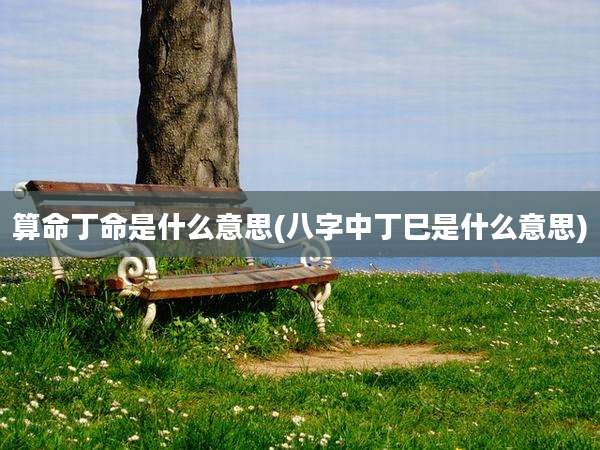 算命丁命是什么意思(八字中丁巳是什么意思)