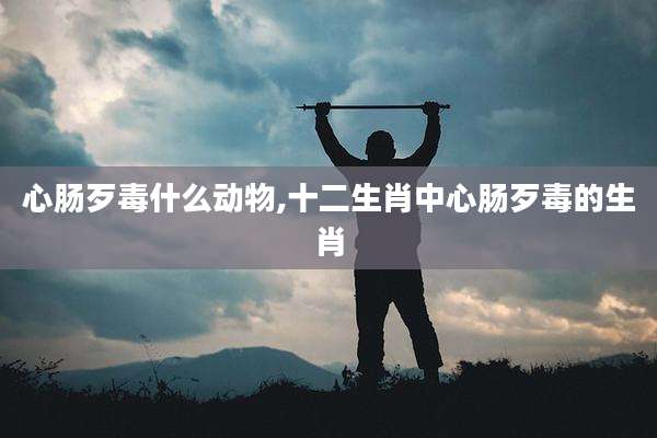心肠歹毒什么动物,十二生肖中心肠歹毒的生肖