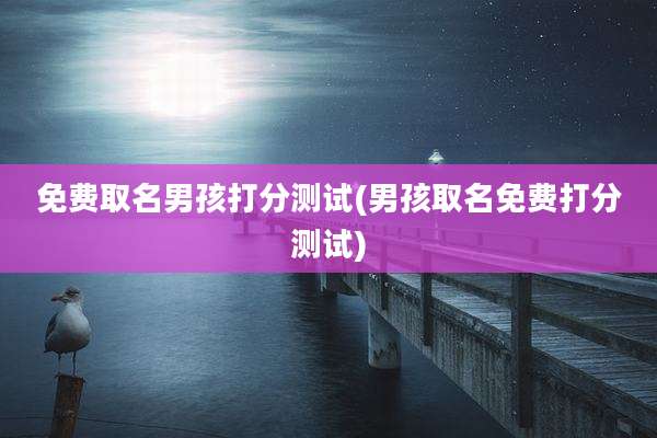 免费取名男孩打分测试(男孩取名免费打分测试)