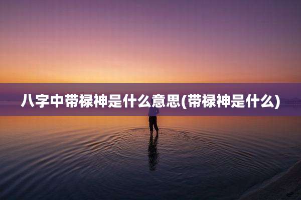 八字中带禄神是什么意思(带禄神是什么)