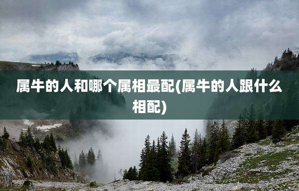 属牛的人和哪个属相最配(属牛的人跟什么相配)