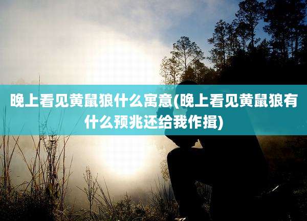 晚上看见黄鼠狼什么寓意(晚上看见黄鼠狼有什么预兆还给我作揖)