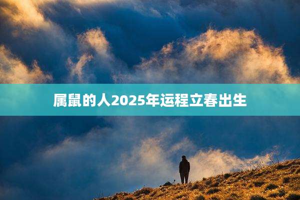 属鼠的人2025年运程立春出生
